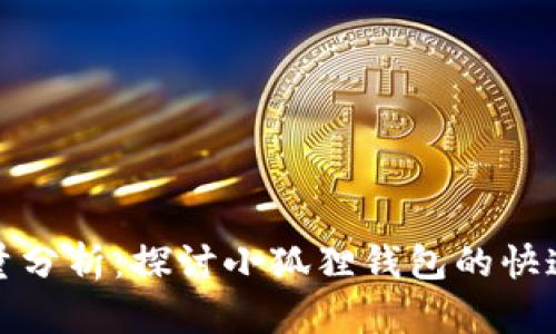 小狐狸钱包用户量分析：探讨小狐狸钱包的快速增长及用户基础